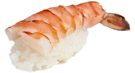 Ebi (Shrimp)